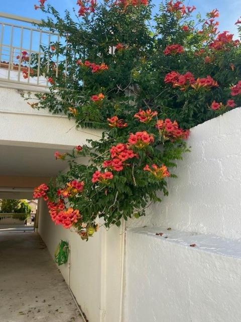 Spata Lykourgos Homes Esterno foto