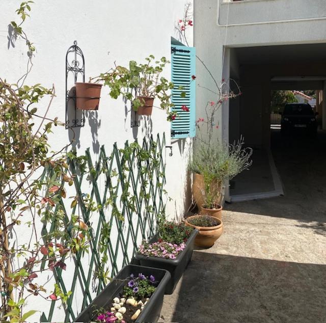 Spata Lykourgos Homes Esterno foto